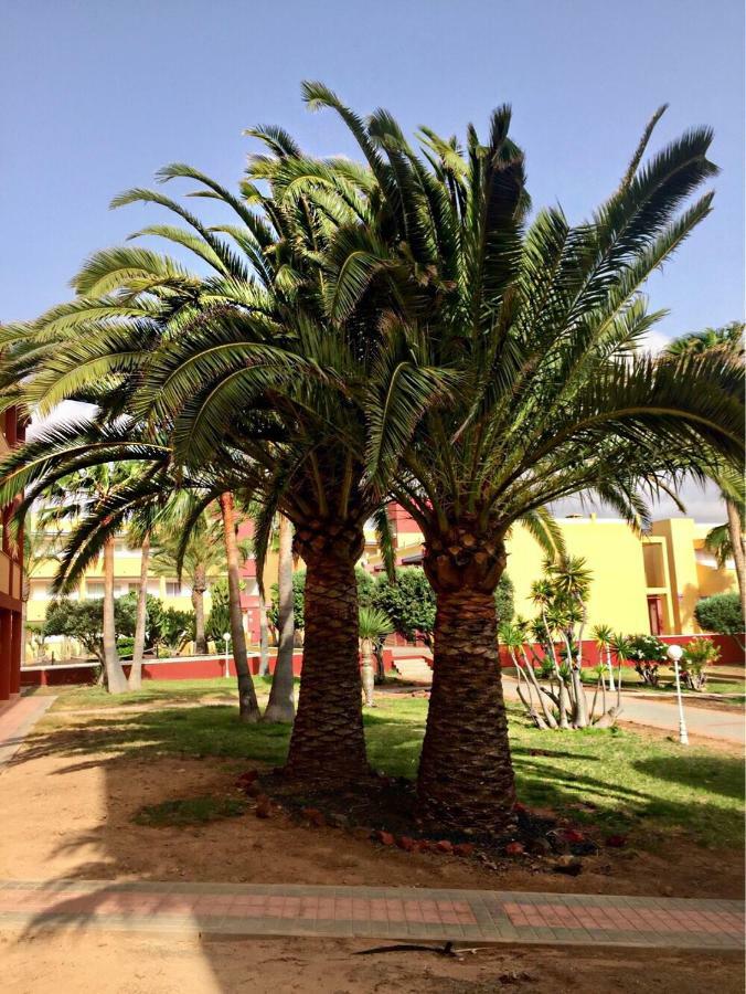 شقة Fuerteventura - La Caleta, Parques Holandes لا أوليفا المظهر الخارجي الصورة